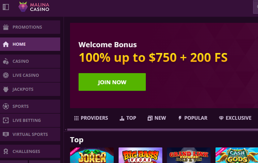 MALINA Casino Welcome Bonus Screenshot